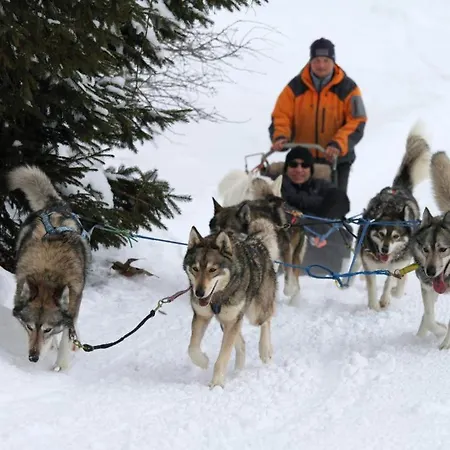 Отель Restaurant La Poste 3*