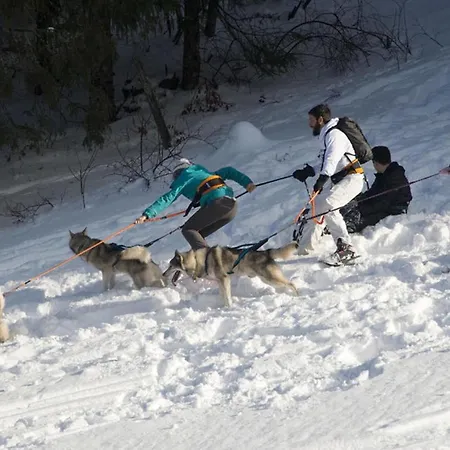 Restaurant La Poste Hotel 3*