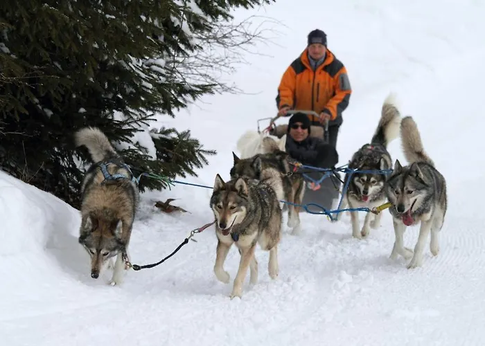Hotel Restaurant La Poste 3*