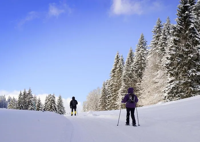 Hotel Restaurant La Poste Saint-Cergue