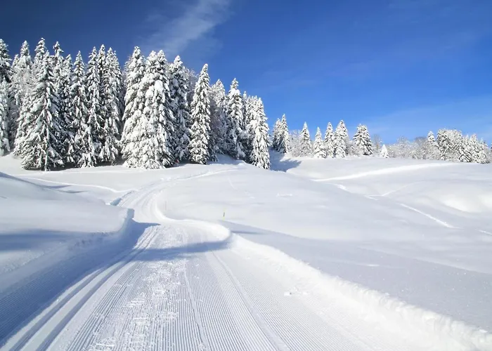 Hotel Restaurant La Poste Saint-Cergue