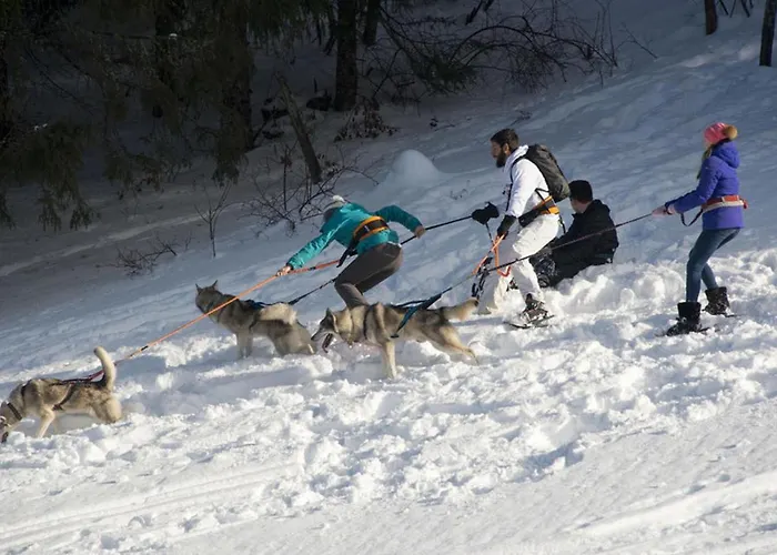 Restaurant La Poste Hotel 3*